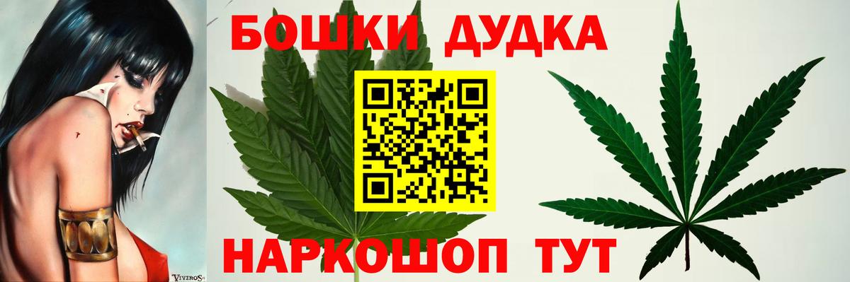 Каннабис сатива Балтийск
